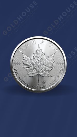 Front view of a 2022 Silver Maple Leaf Monster Box containing 500 one-ounce coins - The Gold House